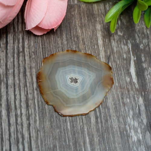 Iris Agate Slice #7