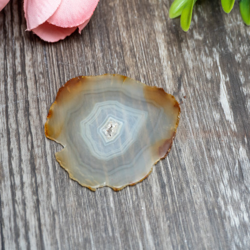 Iris Agate Slice #8