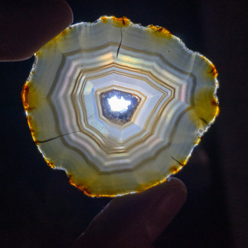 Iris Agate Slice #7