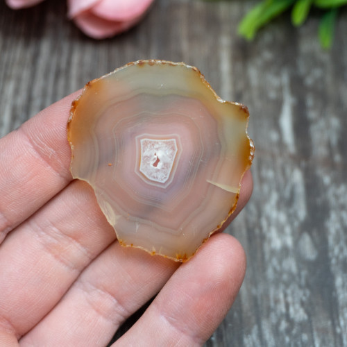 Iris Agate Slice #5