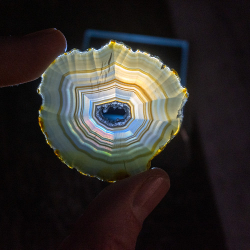 Iris Agate Slice #4