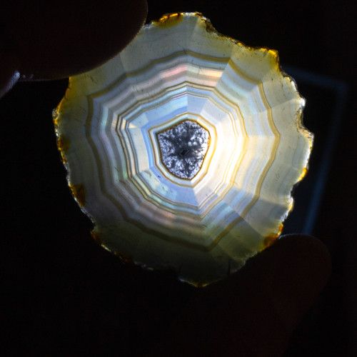 Iris Agate Slice #3