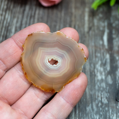 Iris Agate Slice #4
