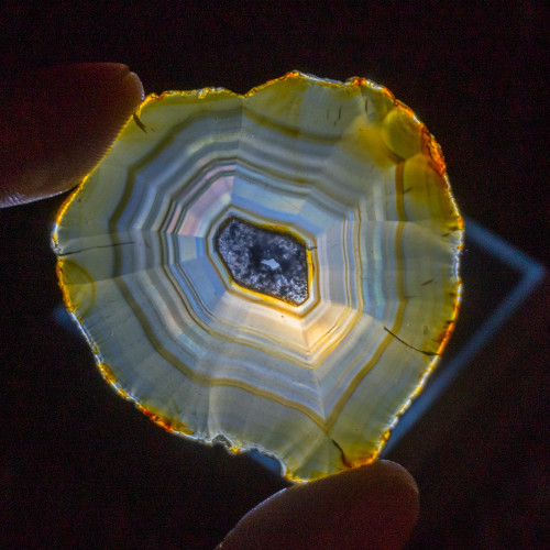 Iris Agate Slice #1