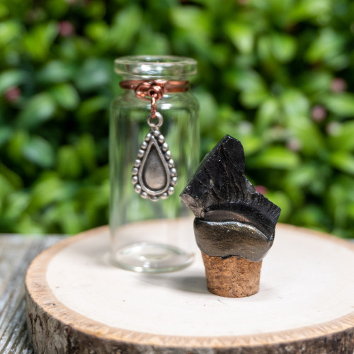 Raw Noble Shungite Intention Jar