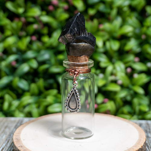 Raw Noble Shungite Intention Jar