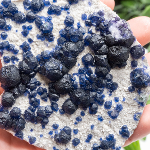 Mongolian Blueberry Fluorite #16