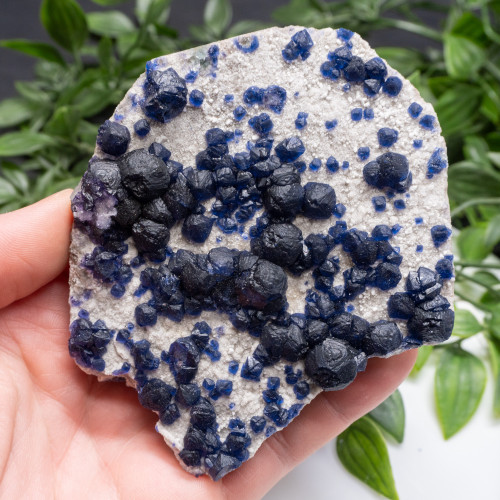 Mongolian Blueberry Fluorite #16