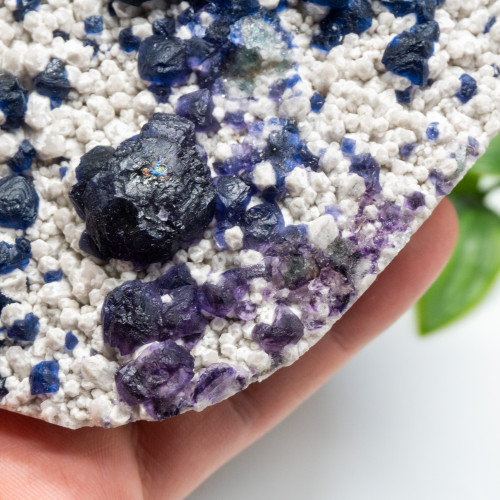 Mongolian Blueberry Fluorite #17