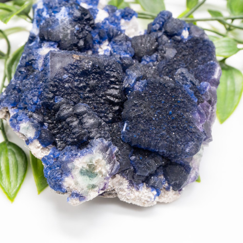 Mongolian Blueberry Fluorite #15