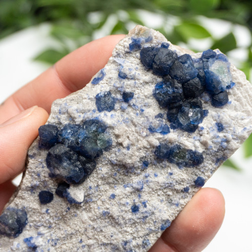 Mongolian Blueberry Fluorite #12