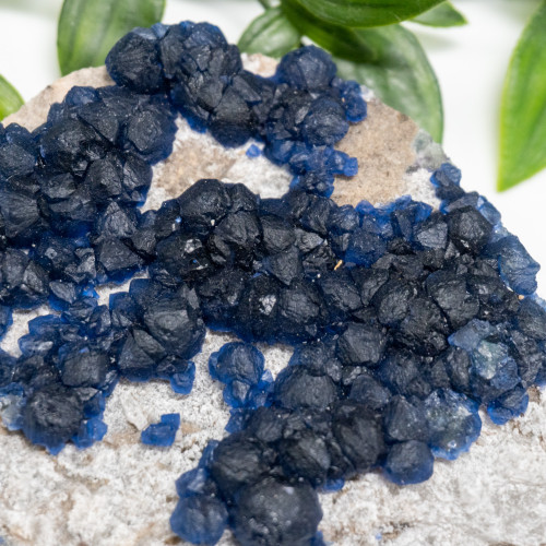 Mongolian Blueberry Fluorite #13