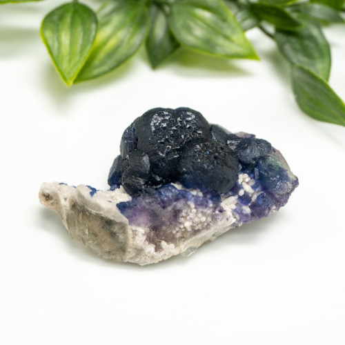 Mongolian Blueberry Fluorite #11