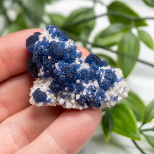 Mongolian Blueberry Fluorite #6