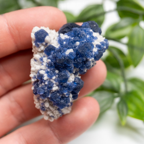 Mongolian Blueberry Fluorite #6