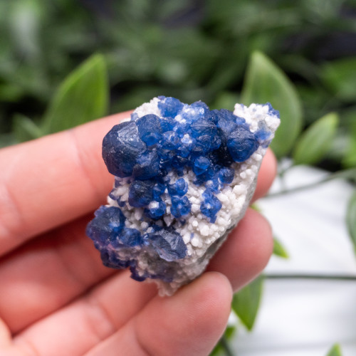 Mongolian Blueberry Fluorite #5