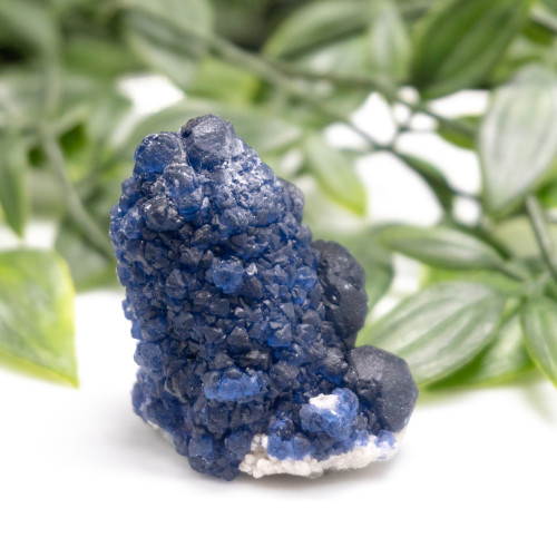 Mongolian Blueberry Fluorite #4