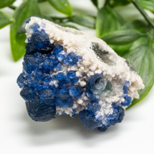 Mongolian Blueberry Fluorite #5