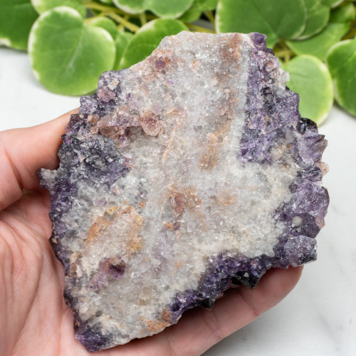 Auralite 23 #26