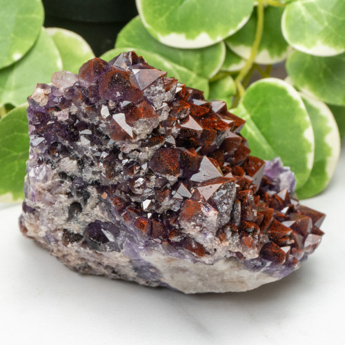 Auralite 23 #25