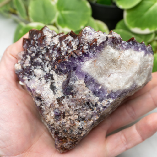 Auralite 23 #25