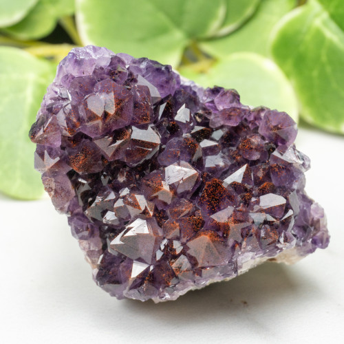 Auralite 23 #23