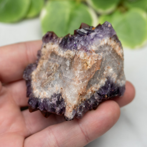 Auralite 23 #22