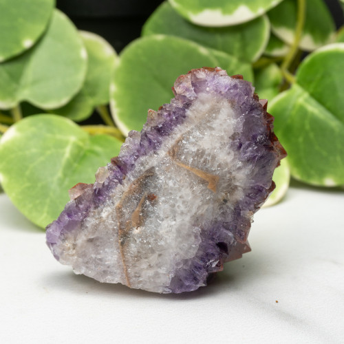 Auralite 23 #19