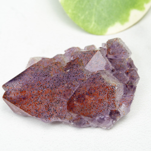 Auralite 23 #16