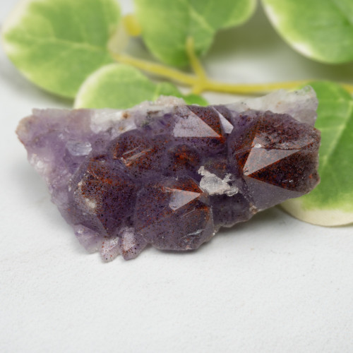 Auralite 23 #12