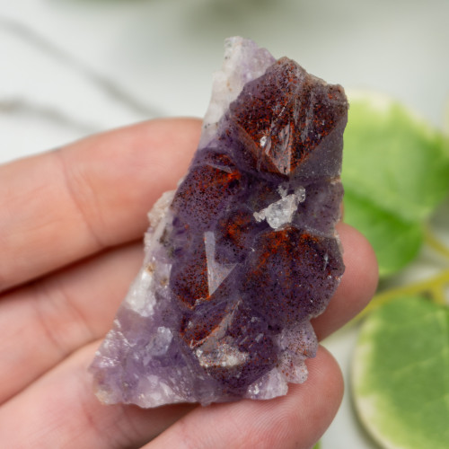 Auralite 23 #12