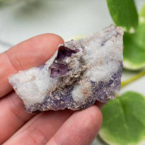 Auralite 23 #12