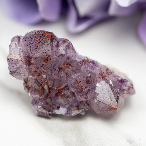 Auralite 23 #10
