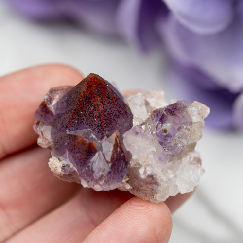 Auralite 23 #9