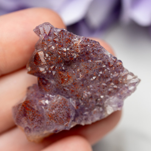 Auralite 23 #8