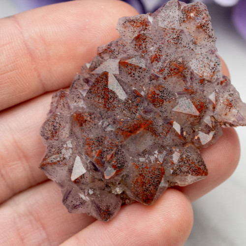 Auralite 23 #5
