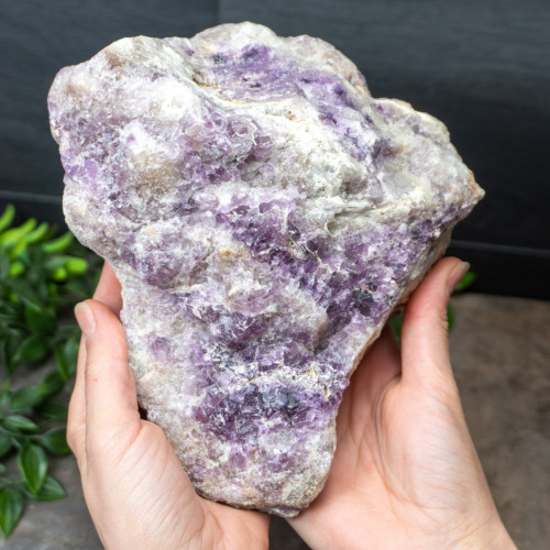 XL Purple Fluorite #1