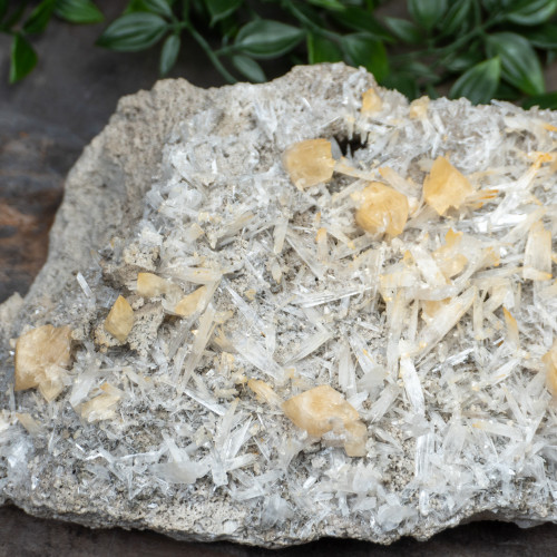 XL Celestite with Golden Calcite #1