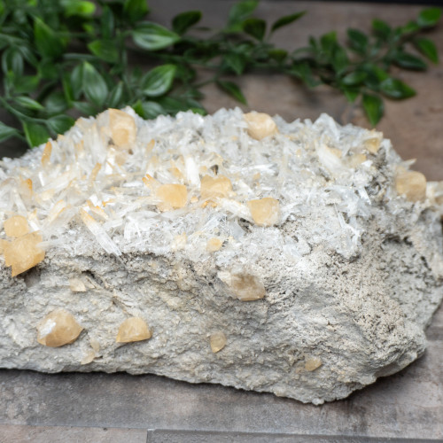 XL Celestite with Golden Calcite #1