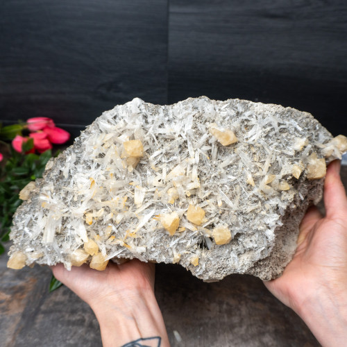 XL Celestite with Golden Calcite #1