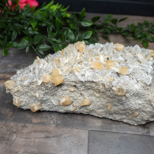 XL Celestite with Golden Calcite #1
