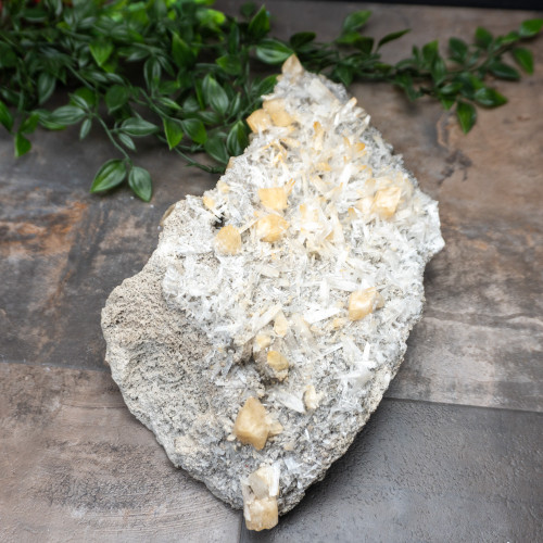 XL Celestite with Golden Calcite #1