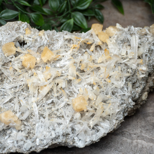 XL Celestite with Golden Calcite #1