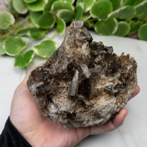 XL Smoky Quartz #1
