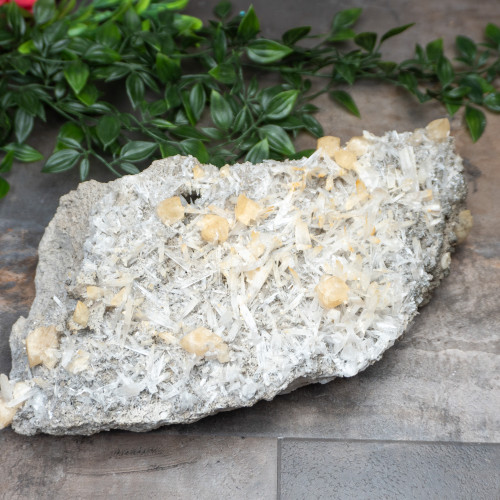 XL Celestite with Golden Calcite #1