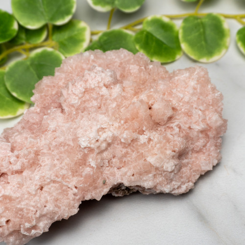 Pink Halite #15