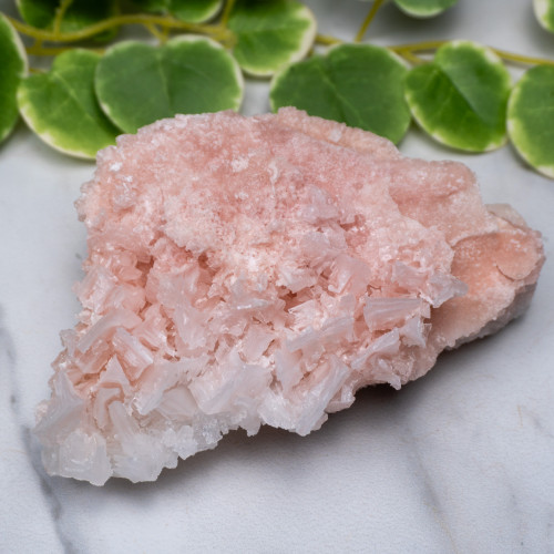 Pink Halite #14
