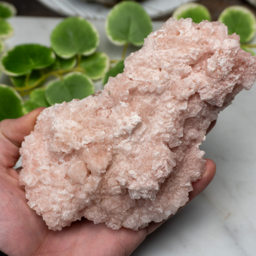 Pink Halite #15
