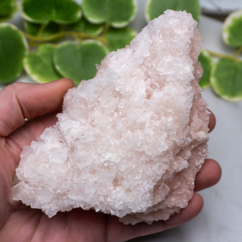 Pink Halite #14