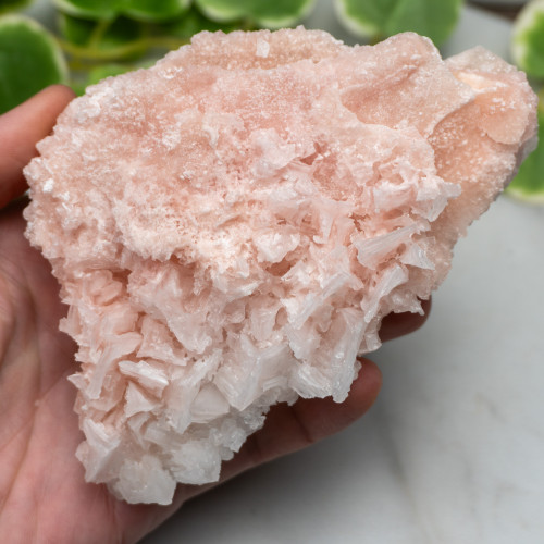 Pink Halite #14
